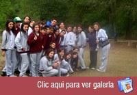 Actividades de Colegio